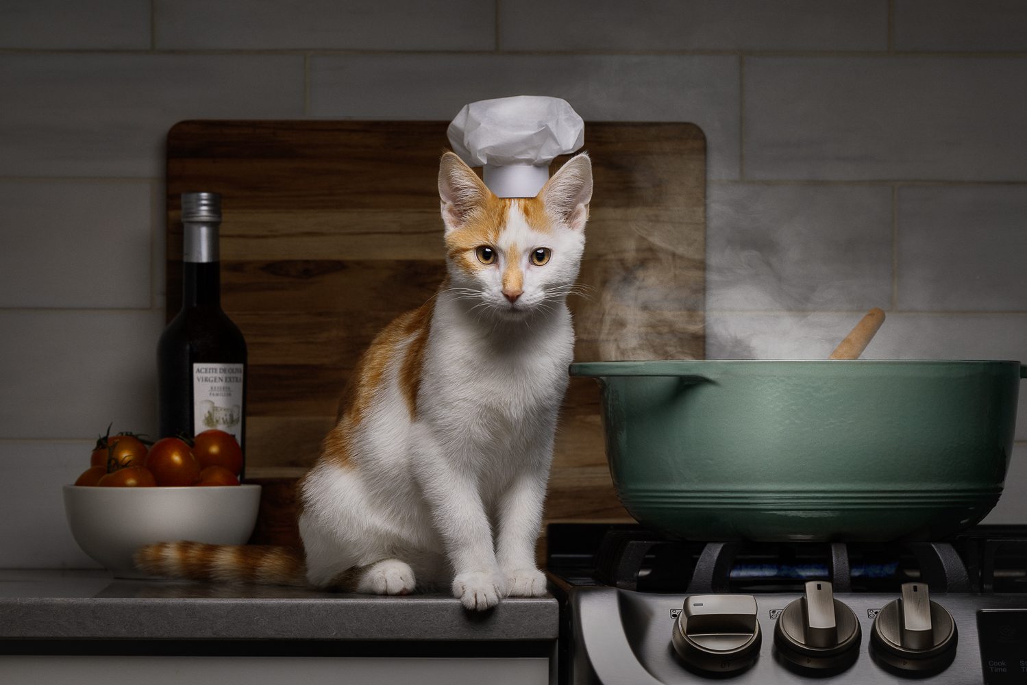 Kitten with chef hat on counter next to steaming pot on stove